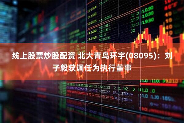 线上股票炒股配资 北大青鸟环宇(08095)：刘子毅获调任为执行董事
