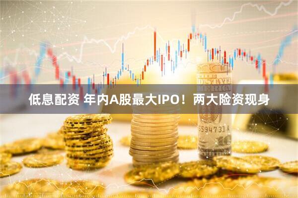 低息配资 年内A股最大IPO！两大险资现身