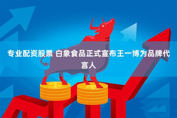 专业配资股票 白象食品正式宣布王一博为品牌代言人